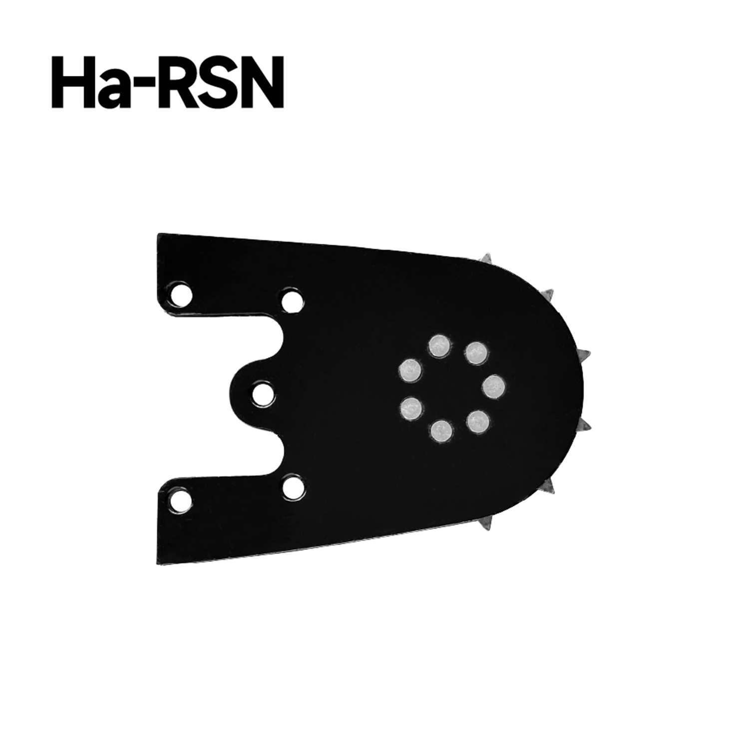 Ha-RSN-12